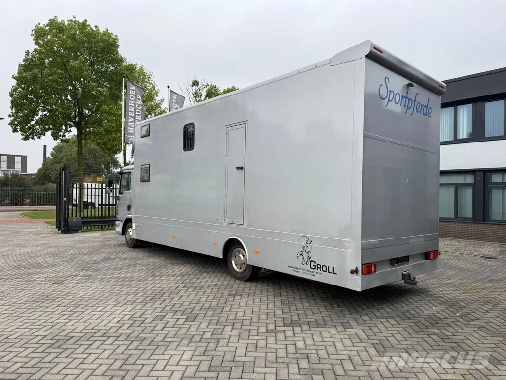 MAN | Horse Truck | Year: 2011 | KM: 312.257 | 5 Horse Tiertransporter