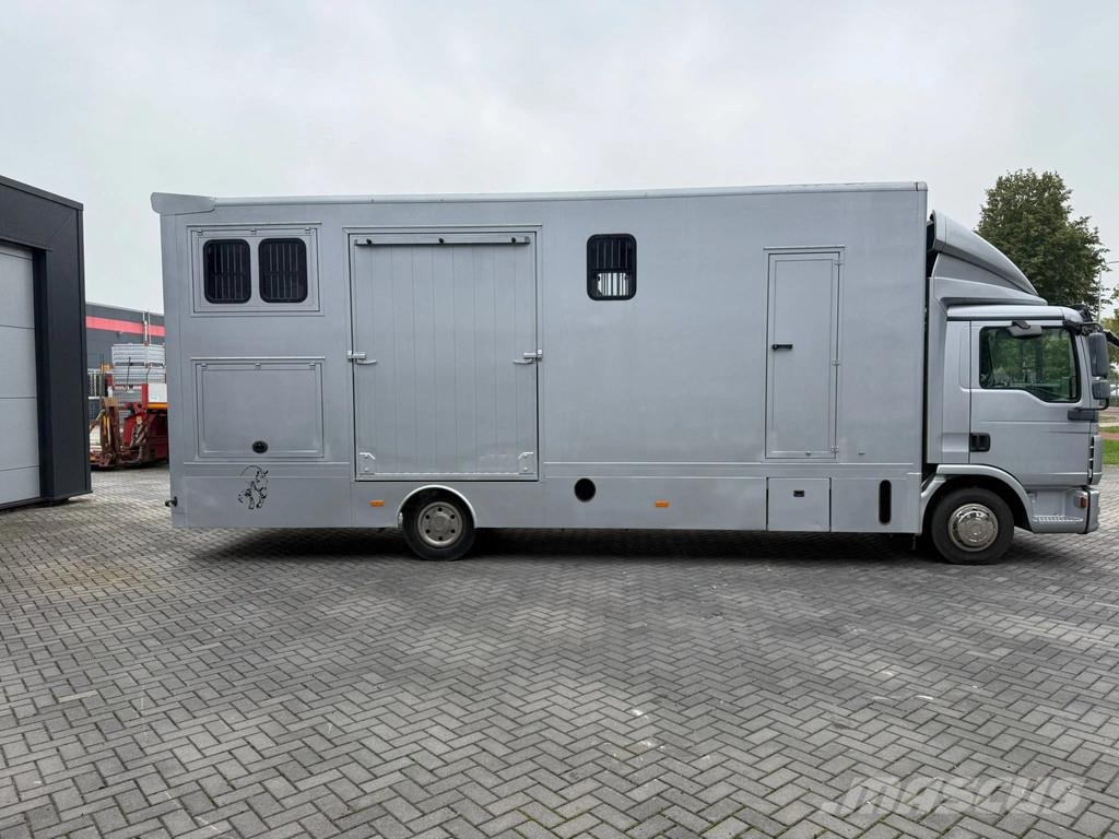 MAN | Horse Truck | Year: 2011 | KM: 312.257 | 5 Horse Tiertransporter