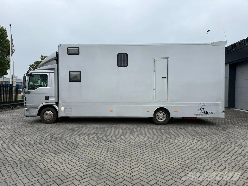 MAN | Horse Truck | Year: 2011 | KM: 312.257 | 5 Horse Tiertransporter