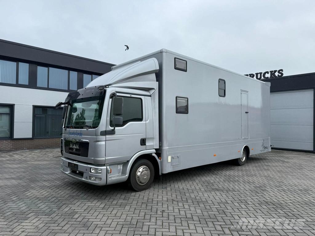 MAN | Horse Truck | Year: 2011 | KM: 312.257 | 5 Horse Tiertransporter
