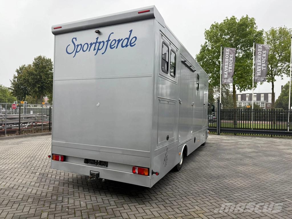 MAN | Horse Truck | Year: 2011 | KM: 312.257 | 5 Horse Tiertransporter