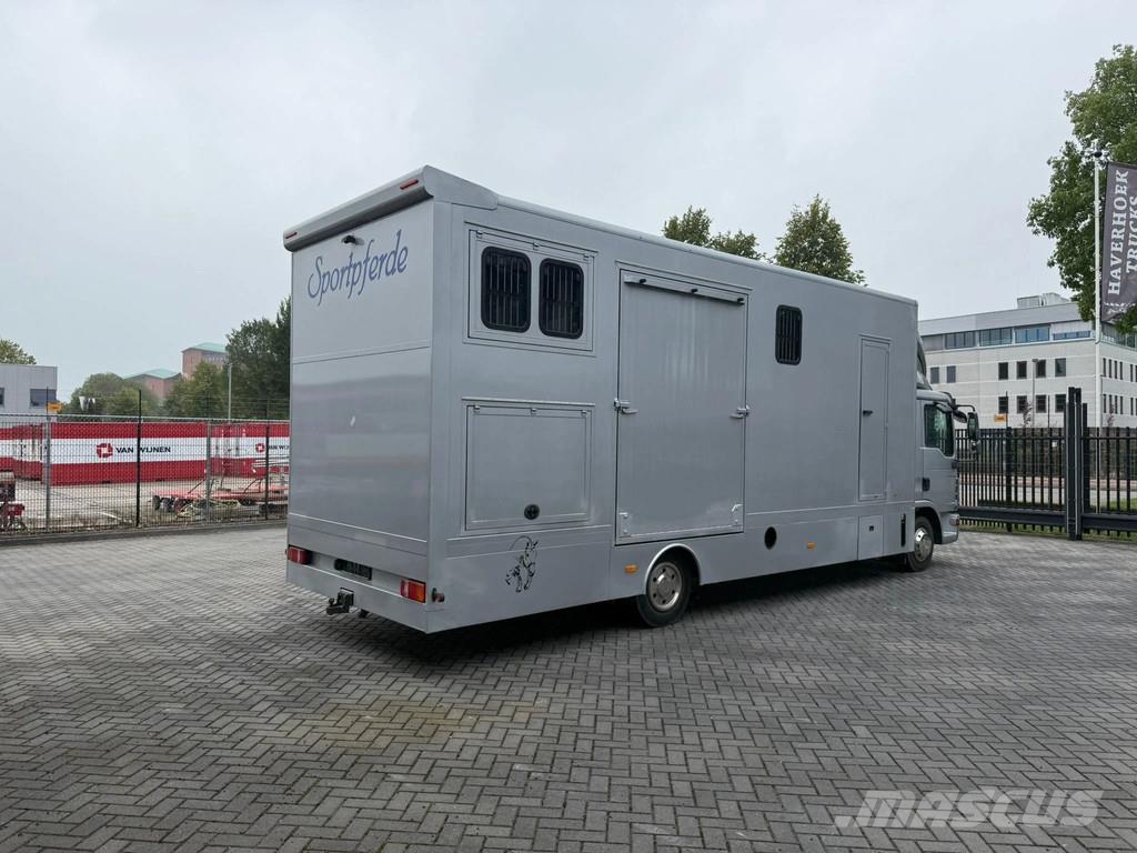 MAN | Horse Truck | Year: 2011 | KM: 312.257 | 5 Horse Tiertransporter