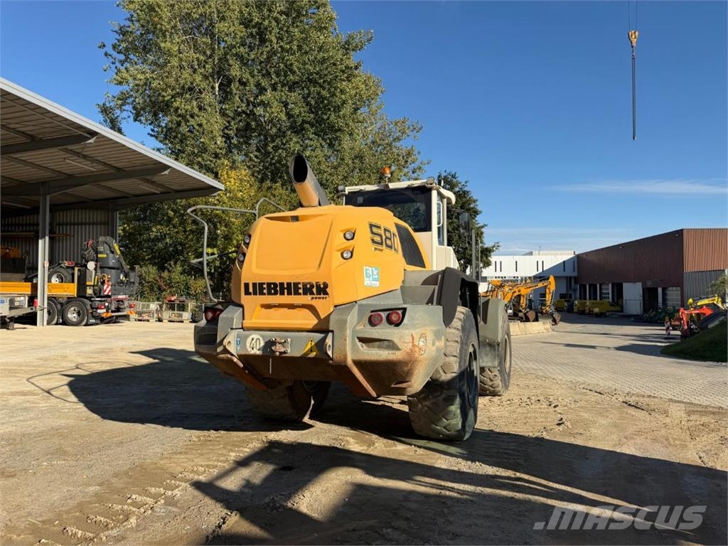 Liebherr L580 XPower Agricultura - Outros