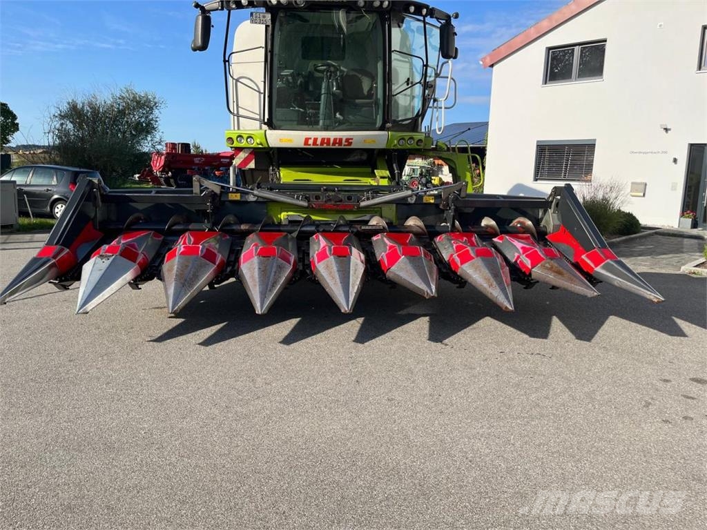 Dominoni Maispflücker SL968 8-reihig passend Claas Lexion رؤوس الحصادات الدراسات