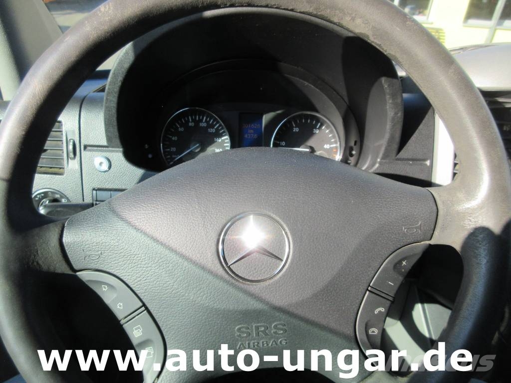 Mercedes-Benz 313 CDI Leichenwagen Bestattungswagen Rappold Komunalna vozila za opštu namenu
