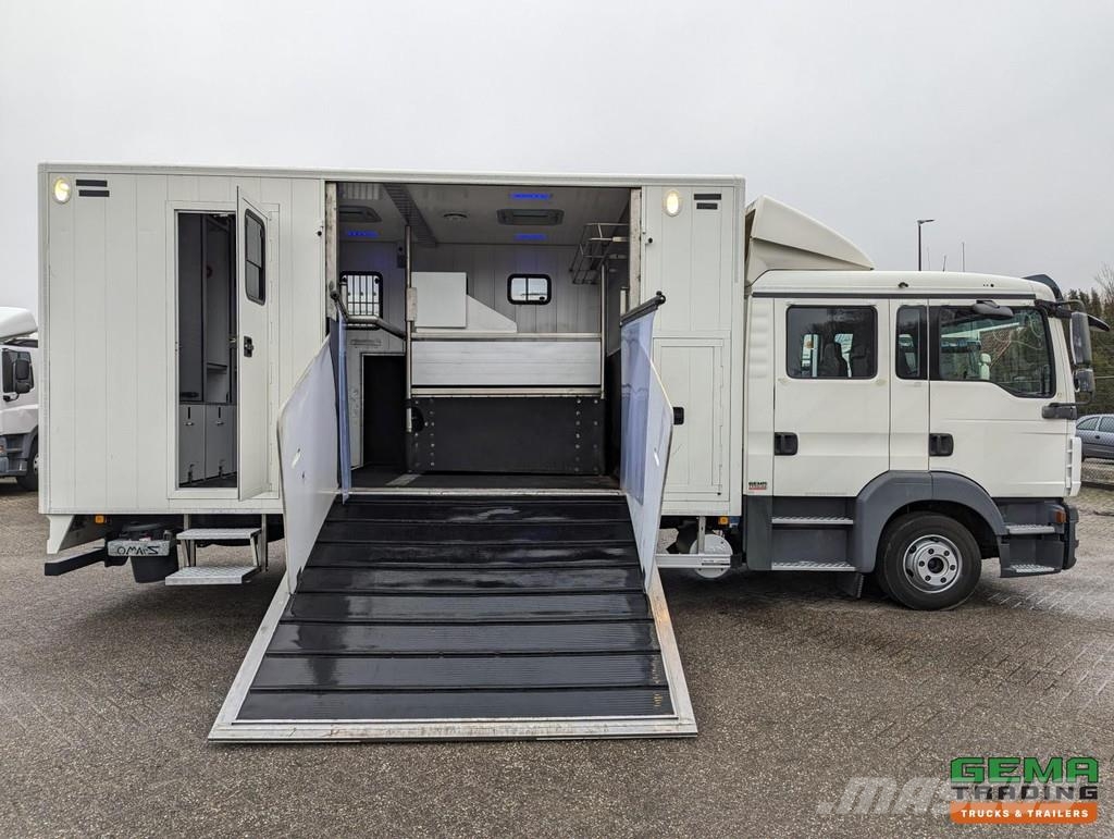 MAN TGL 12.180 4x2 DoKa 7 pers. Euro5 EEV - 2-Horse Tr Eläinkuljetusautot