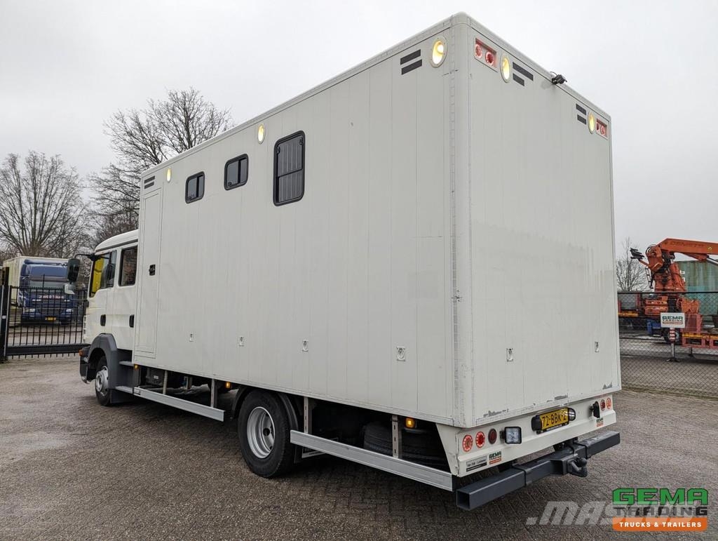 MAN TGL 12.180 4x2 DoKa 7 pers. Euro5 EEV - 2-Horse Tr Eläinkuljetusautot