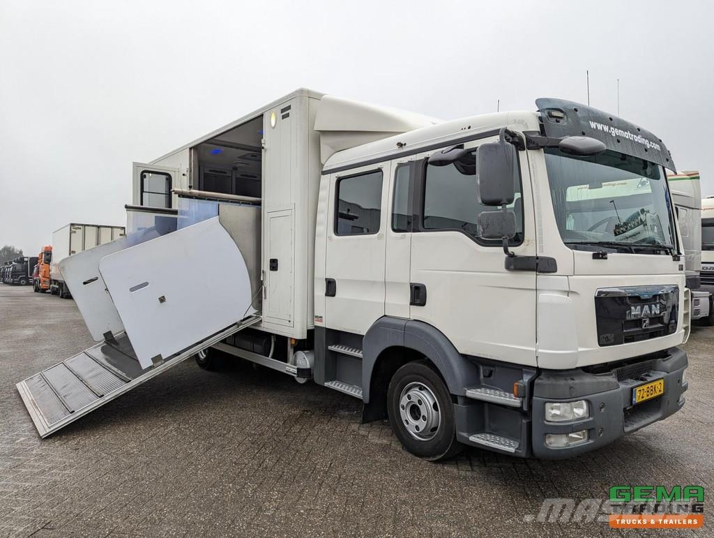 MAN TGL 12.180 4x2 DoKa 7 pers. Euro5 EEV - 2-Horse Tr Eläinkuljetusautot