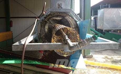 Prelog KM Pralni stroj za semena - seeds washing machine Plovimo įranga