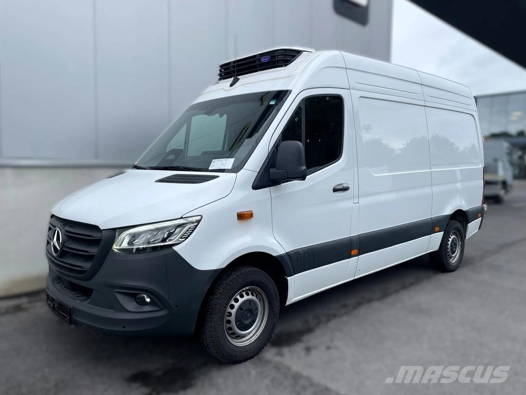 Mercedes-Benz Sprinter 317 *Xarios350*-18°C*AHK2,0*zetelverwarmi Vans με ελεγχόμενη θερμοκρασία