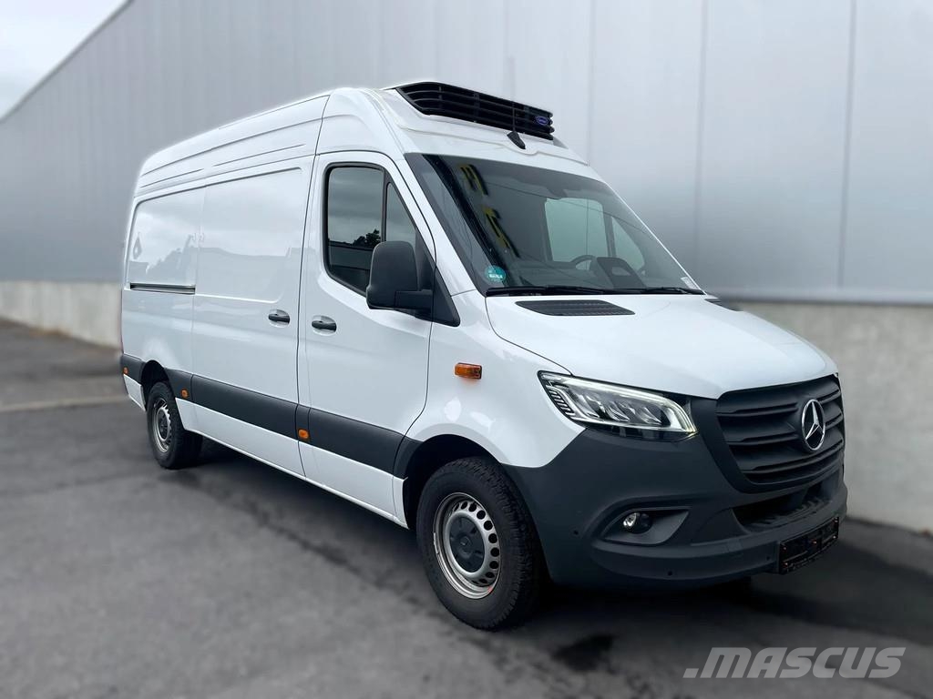 Mercedes-Benz Sprinter 317 *Xarios350*-18°C*AHK2,0*zetelverwarmi Vans με ελεγχόμενη θερμοκρασία