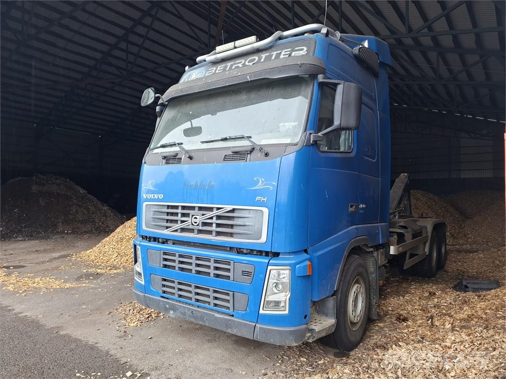 Volvo FH480 Camiones polibrazo