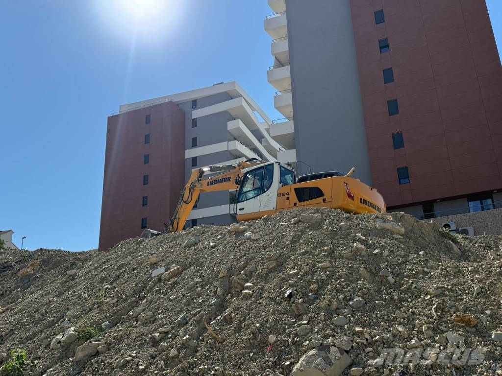 Liebherr LIEBHERR R 924 LITRONIC Bageri guseničari