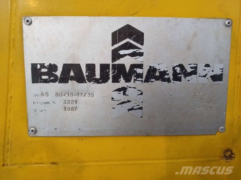 Baumann AS80/18-17/35 Γερανοί πλευρικής φόρτωσης εμπορευματοκιβωτίων