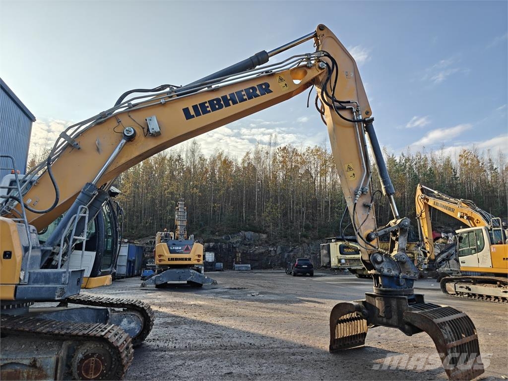 Liebherr R924 WLC Bageri guseničari