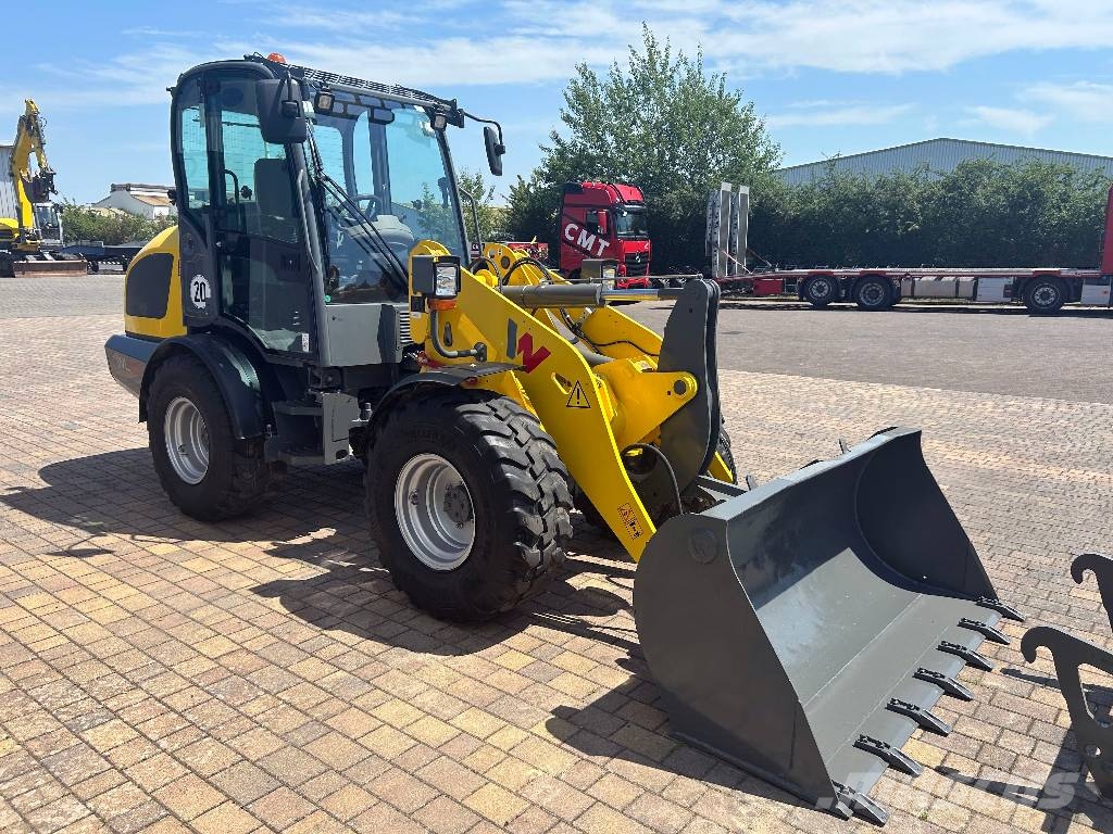 Wacker Neuson WL52 *2023*590BH*Schaufel*Gabel*TOP* لوادر بعجل