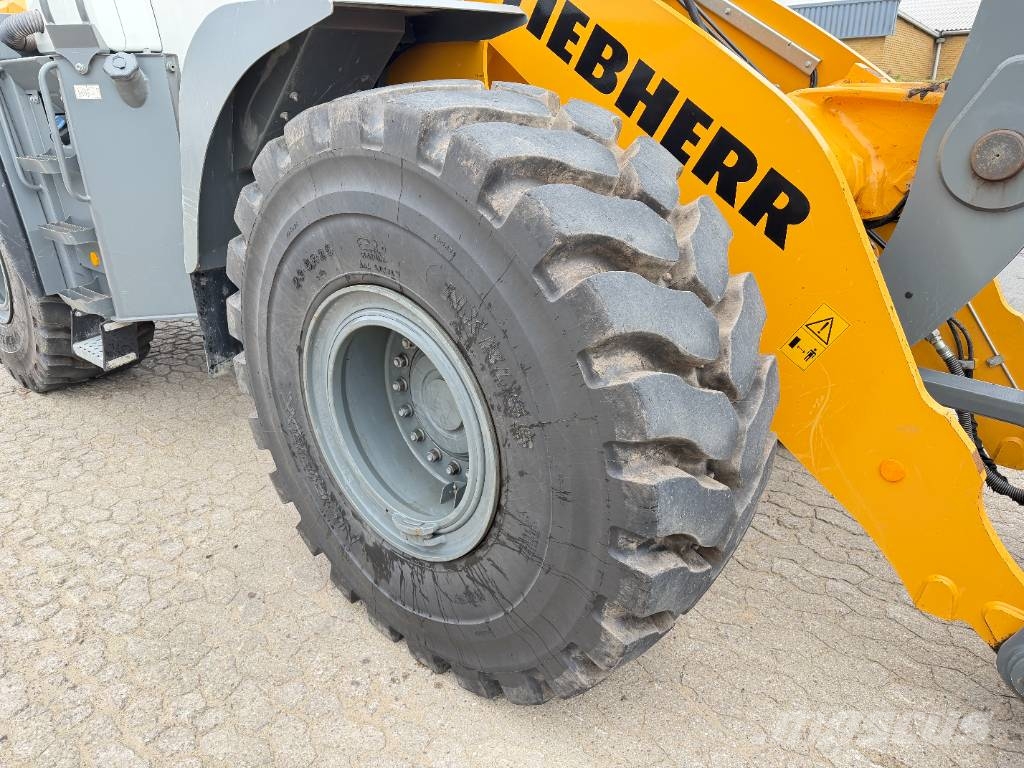 Liebherr L 550 XPower لوادر بعجل