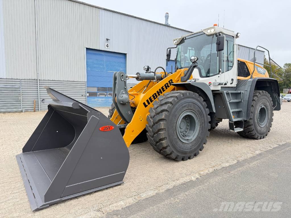 Liebherr L 550 XPower لوادر بعجل