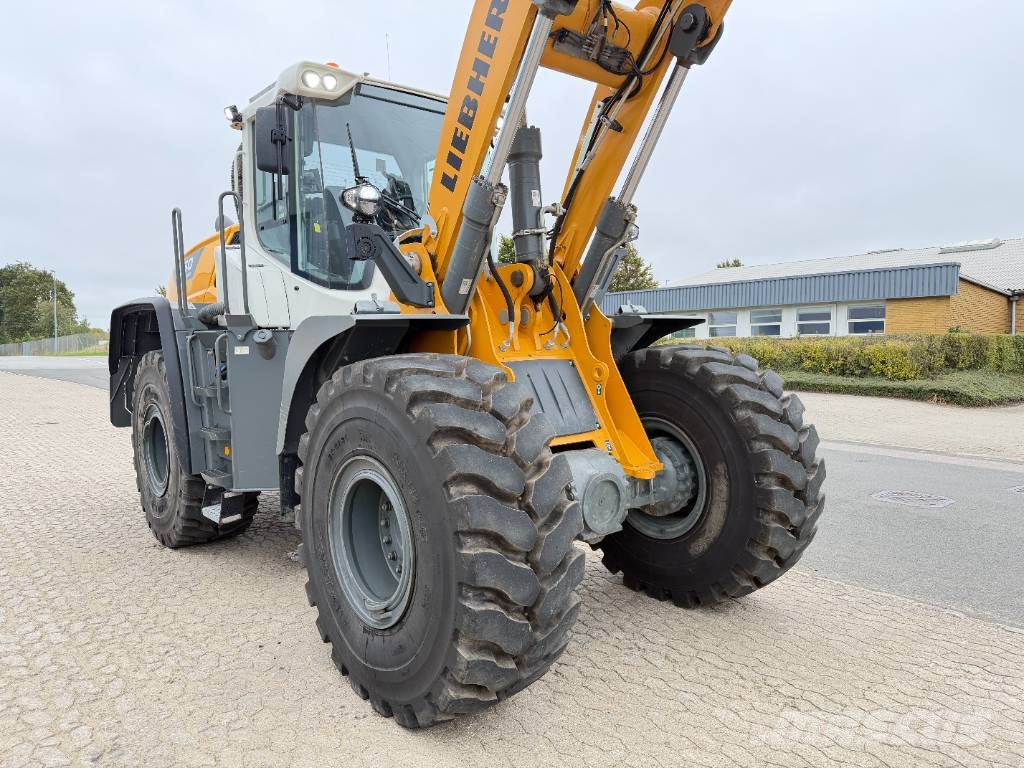 Liebherr L 550 XPower لوادر بعجل