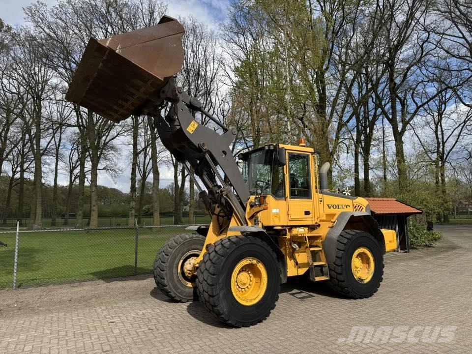 Volvo FL 290 L90E Shovel loader 輪胎式裝載機
