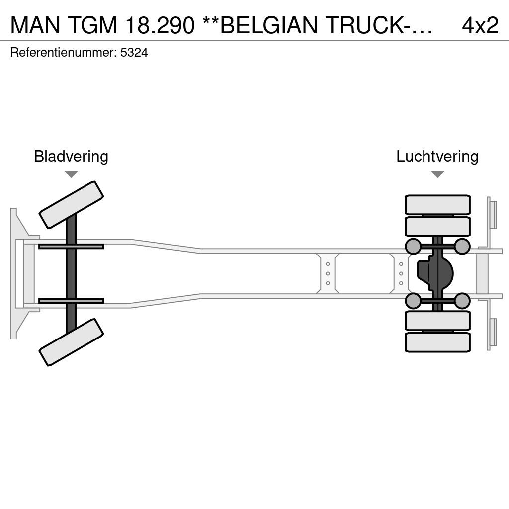 MAN TGM 18.290 **BELGIAN TRUCK-EURO 5** Chłodnie samochodowe