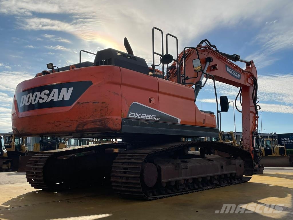 Doosan DX255LC-5 حفارات زحافة