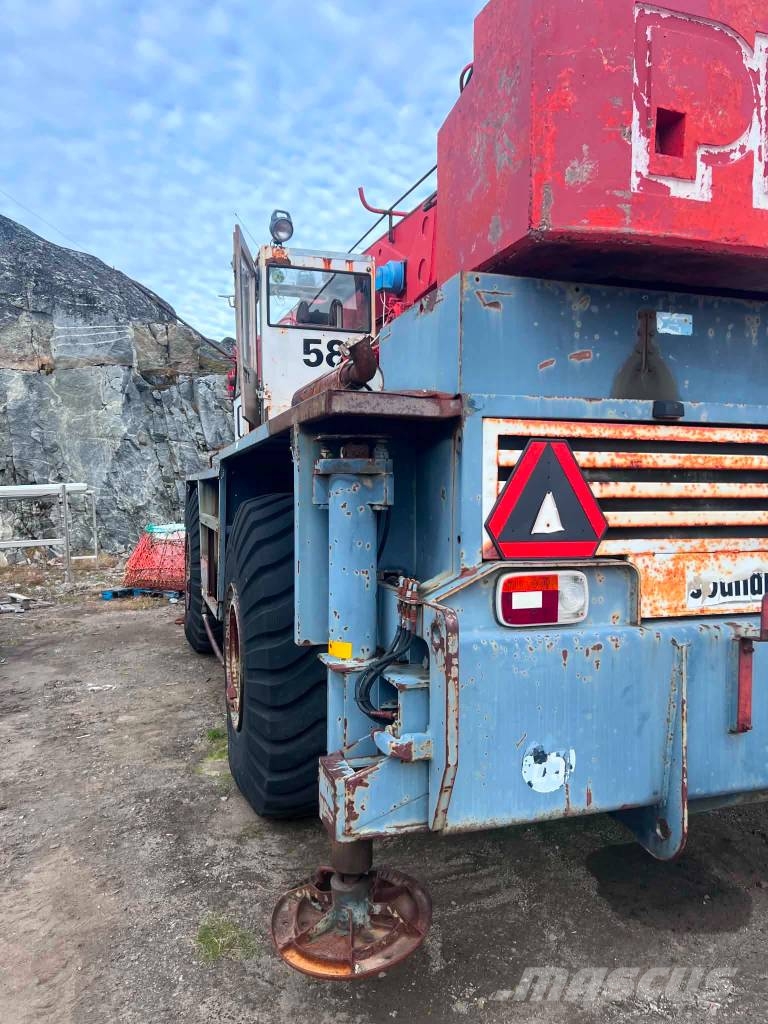 PPM 50 全路面起重機/吊車