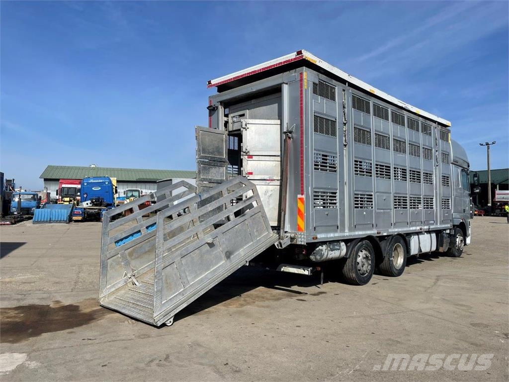DAF FAR XF 105.510 preprava zvierat 6x2 retarder autom Camiones de ganado
