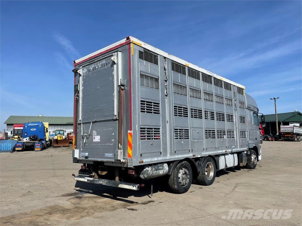 DAF FAR XF 105.510 preprava zvierat 6x2 retarder autom Camiones de ganado
