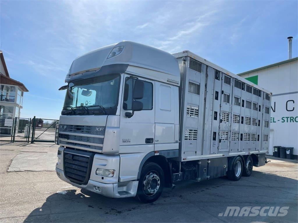 DAF FAR XF 105.510 preprava zvierat 6x2 retarder autom Camiones de ganado