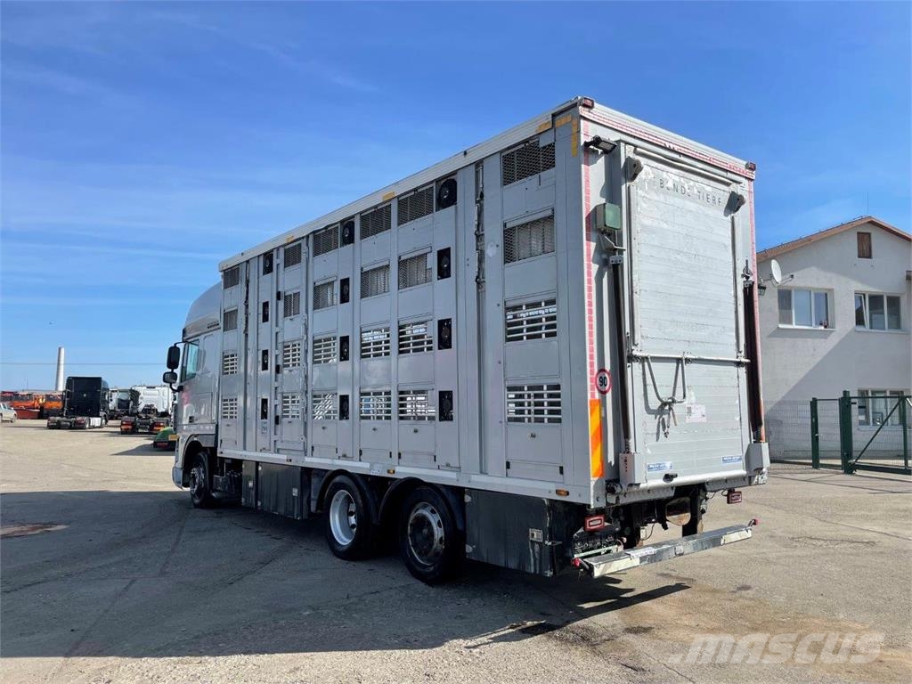 DAF FAR XF 105.510 preprava zvierat 6x2 retarder autom Camiones de ganado