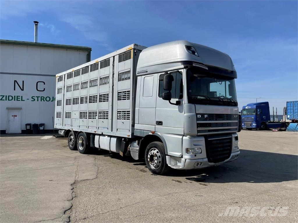 DAF FAR XF 105.510 preprava zvierat 6x2 retarder autom Camiones de ganado