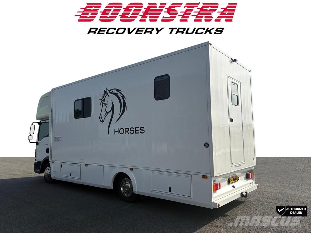 MAN TGL 8.190 Horse truck 2 Horses + Living Camera 61. 家畜輸送用トラック