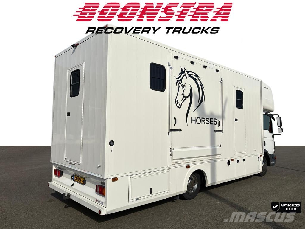 MAN TGL 8.190 Horse truck 2 Horses + Living Camera 61. Eläinkuljetusautot