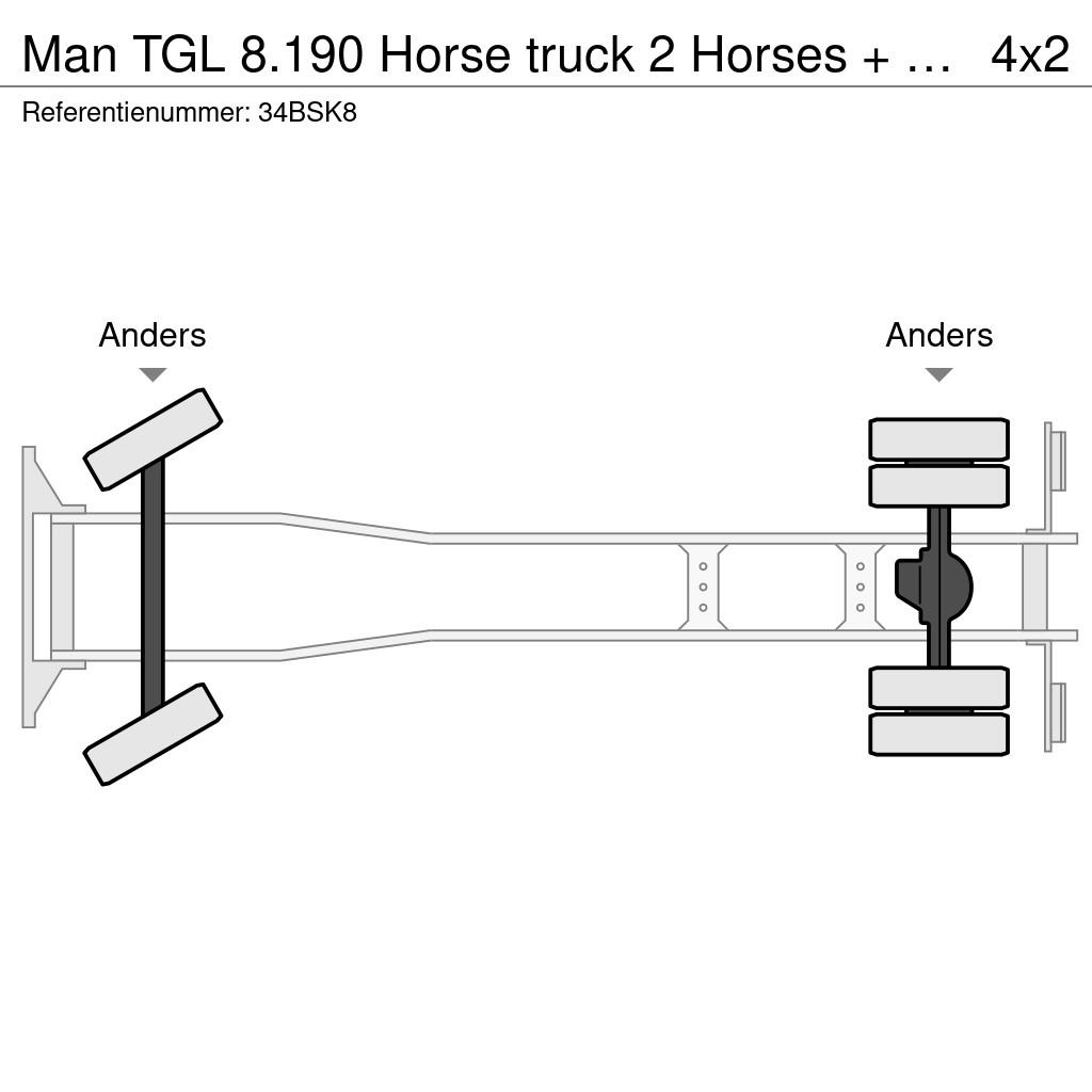 MAN TGL 8.190 Horse truck 2 Horses + Living Camera 61. Eläinkuljetusautot