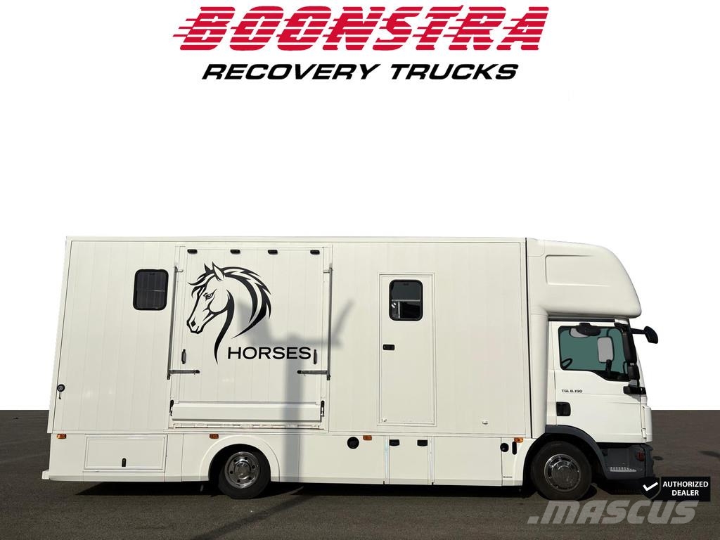 MAN TGL 8.190 Horse truck 2 Horses + Living Camera 61. 家畜輸送用トラック