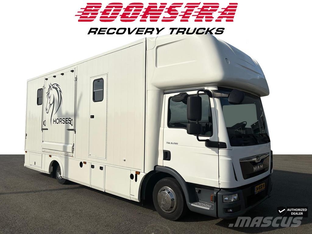 MAN TGL 8.190 Horse truck 2 Horses + Living Camera 61. 家畜輸送用トラック