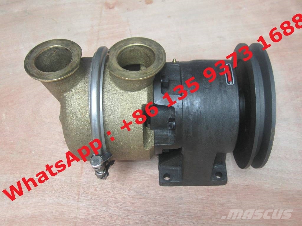 Cummins Nta855 Marine Engine Sea Water Pump 3655857 491462 Moteur