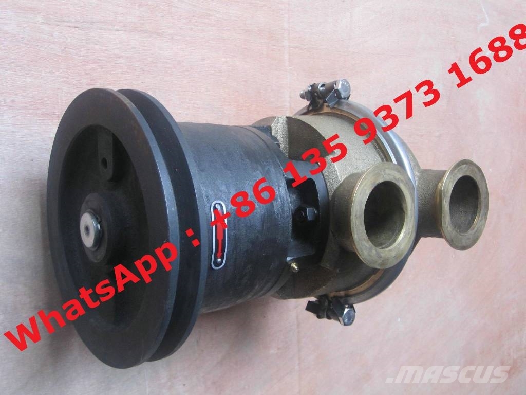 Cummins Nta855 Marine Engine Sea Water Pump 3655857 491462 Moteur