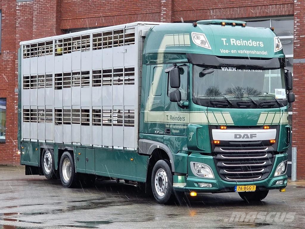 DAF XF 440 SuperSpaceCab 6x2*4 - Cuppers 1-2-3 deck Li Camiones de ganado