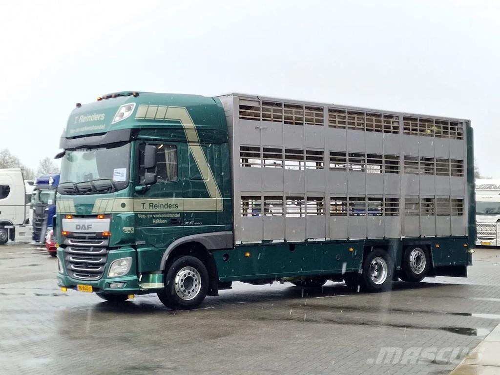 DAF XF 440 SuperSpaceCab 6x2*4 - Cuppers 1-2-3 deck Li Camiones de ganado