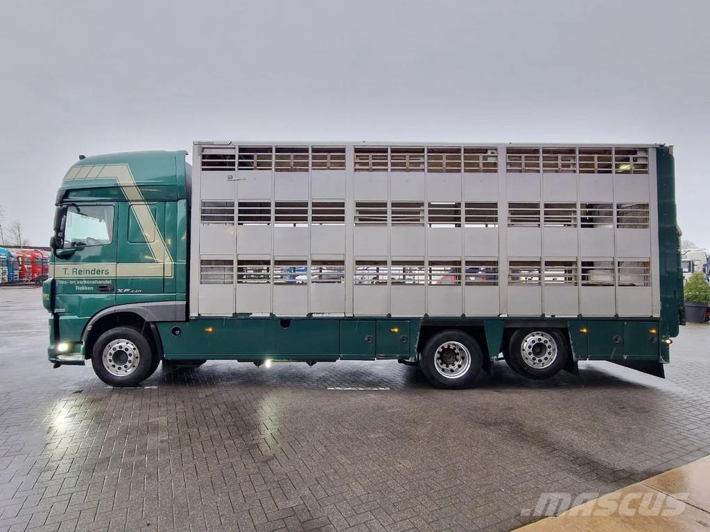 DAF XF 440 SuperSpaceCab 6x2*4 - Cuppers 1-2-3 deck Li Camiones de ganado