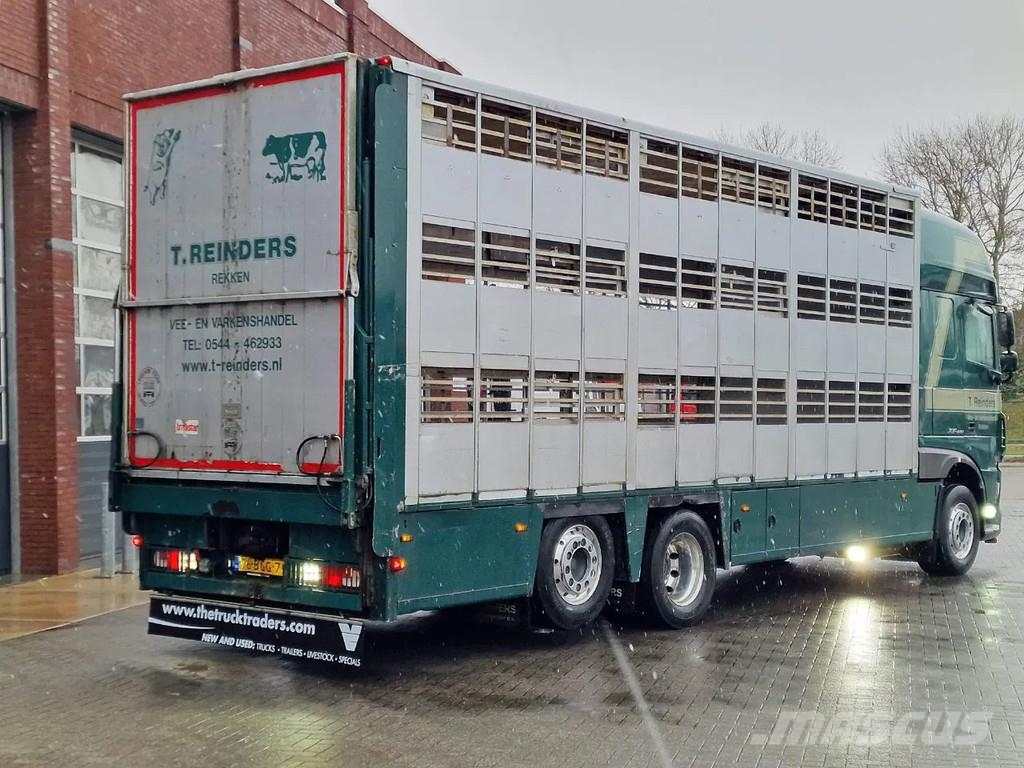 DAF XF 440 SuperSpaceCab 6x2*4 - Cuppers 1-2-3 deck Li Camiones de ganado