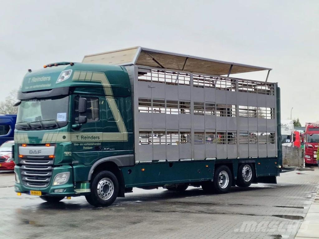 DAF XF 440 SuperSpaceCab 6x2*4 - Cuppers 1-2-3 deck Li Camiones de ganado