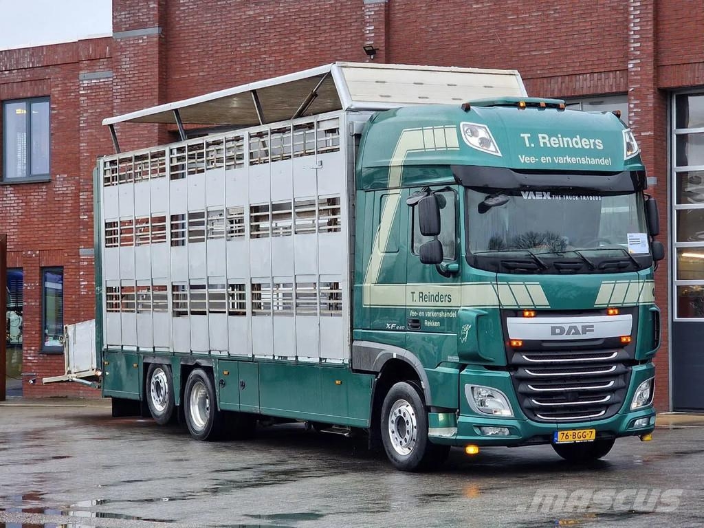 DAF XF 440 SuperSpaceCab 6x2*4 - Cuppers 1-2-3 deck Li Camiones de ganado