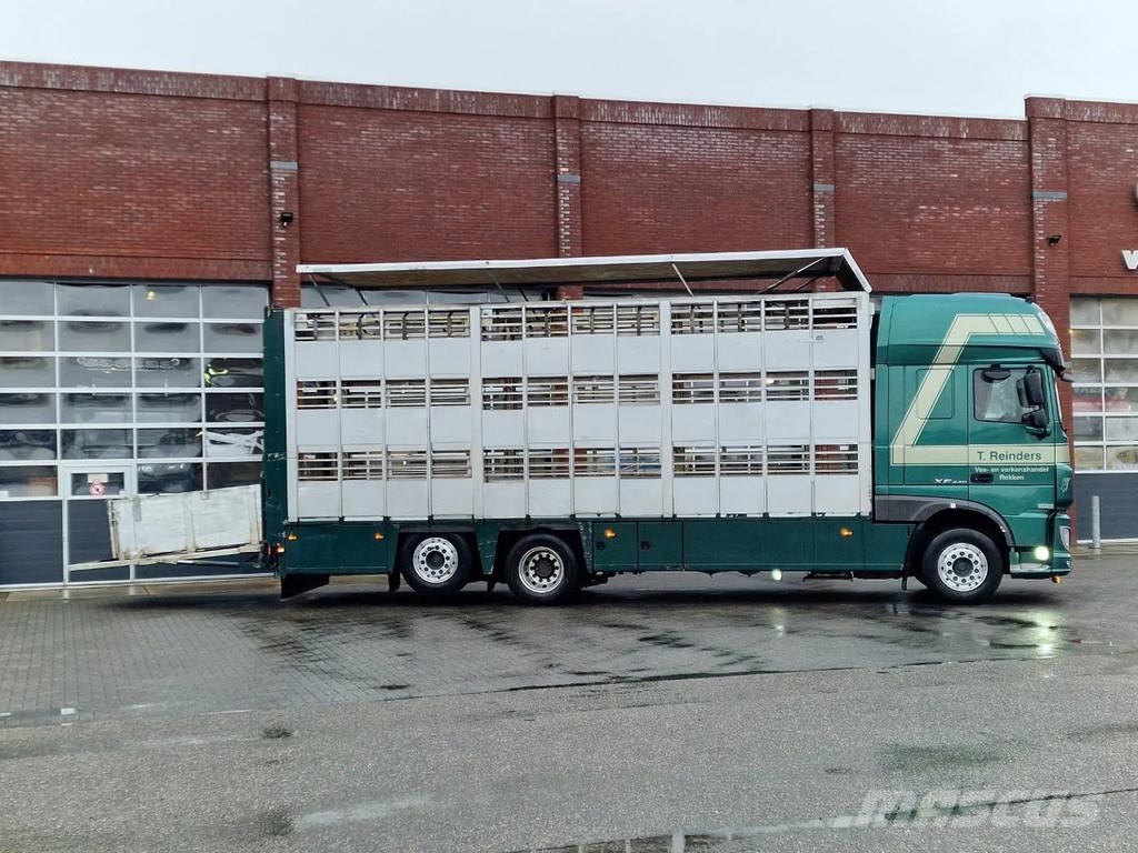 DAF XF 440 SuperSpaceCab 6x2*4 - Cuppers 1-2-3 deck Li Camiones de ganado