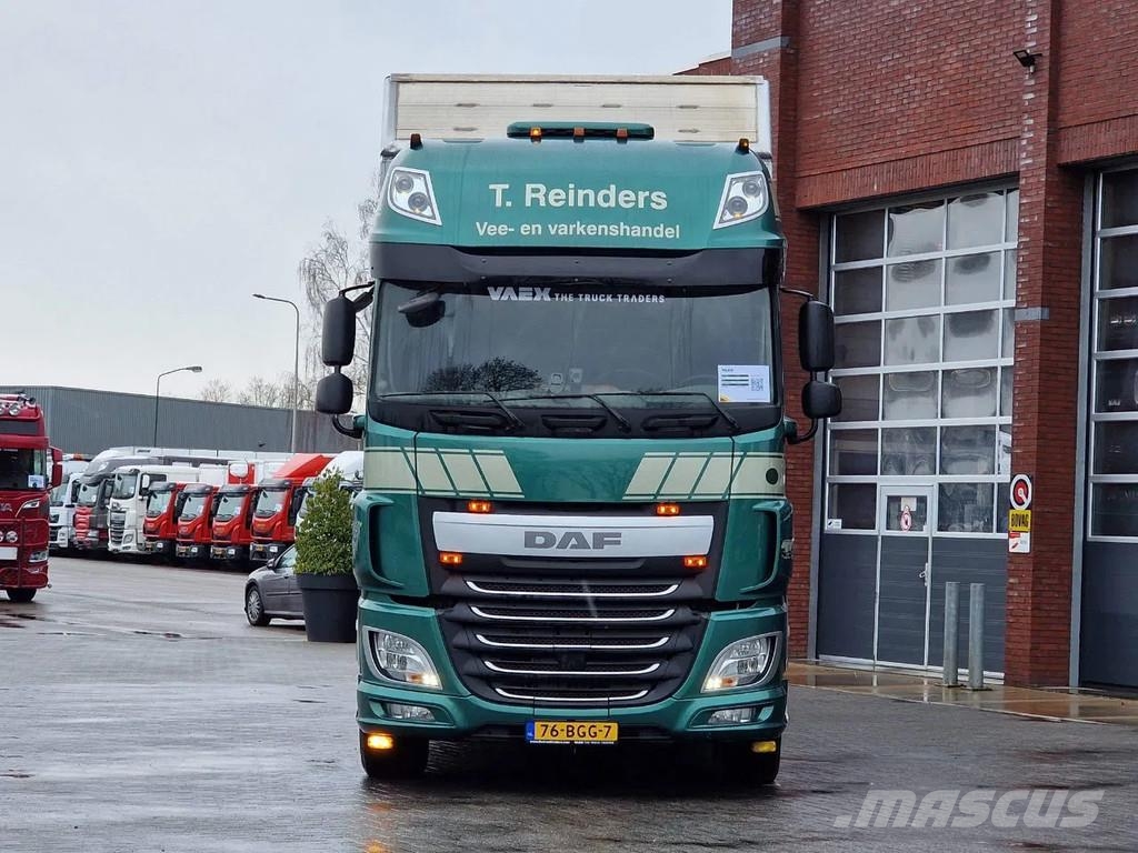 DAF XF 440 SuperSpaceCab 6x2*4 - Cuppers 1-2-3 deck Li Camiones de ganado