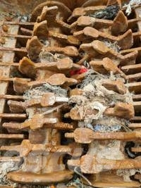Hammel VB 650 D Koku stumbru frēze