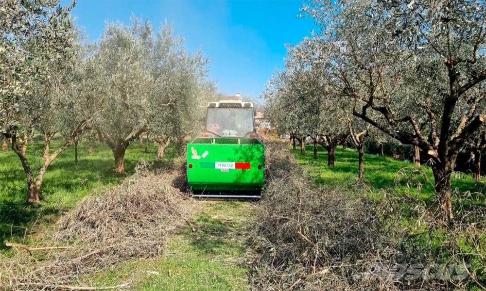 Peruzzo Flail Shredder Collector Canguro Hedge cutters
