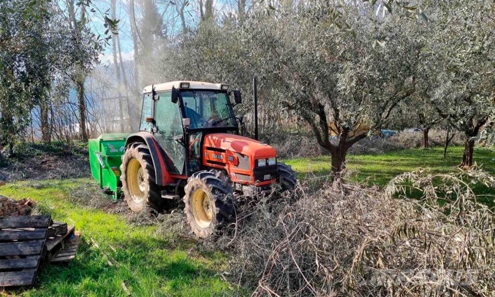 Peruzzo Flail Shredder Collector Canguro Hedge cutters